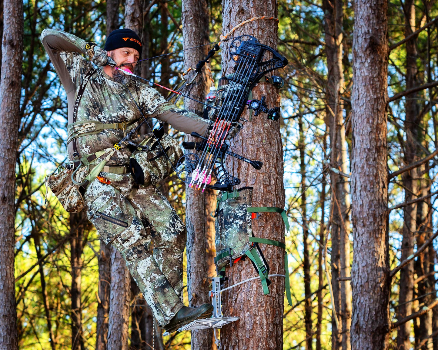 Pack Rat BBPRO System in BOTTOMLAND