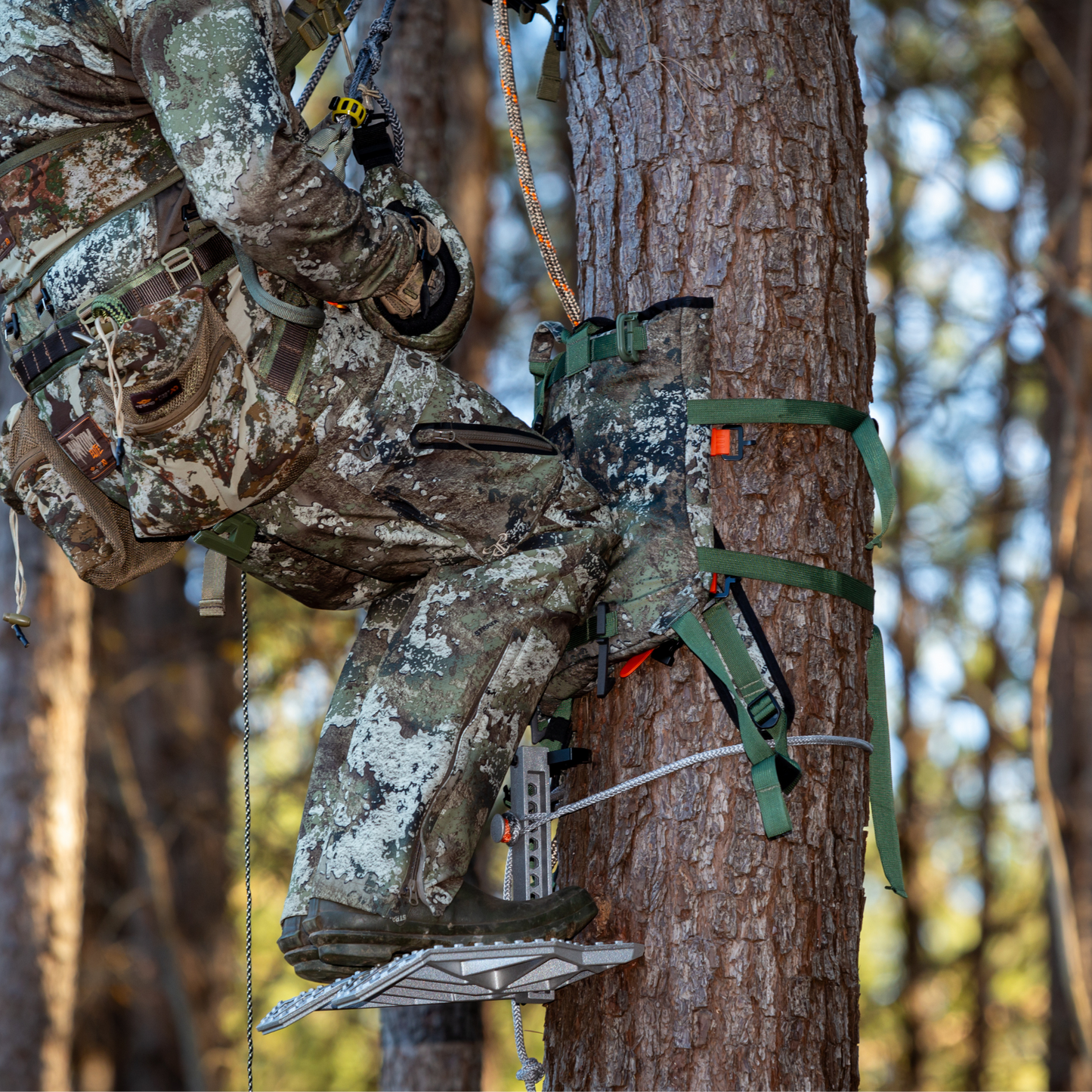 Pack Rat DLX in BOTTOMLAND