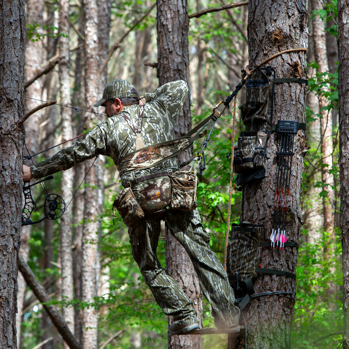 Pack Rat DLX System with Tree Hugger in BOTTOMLAND