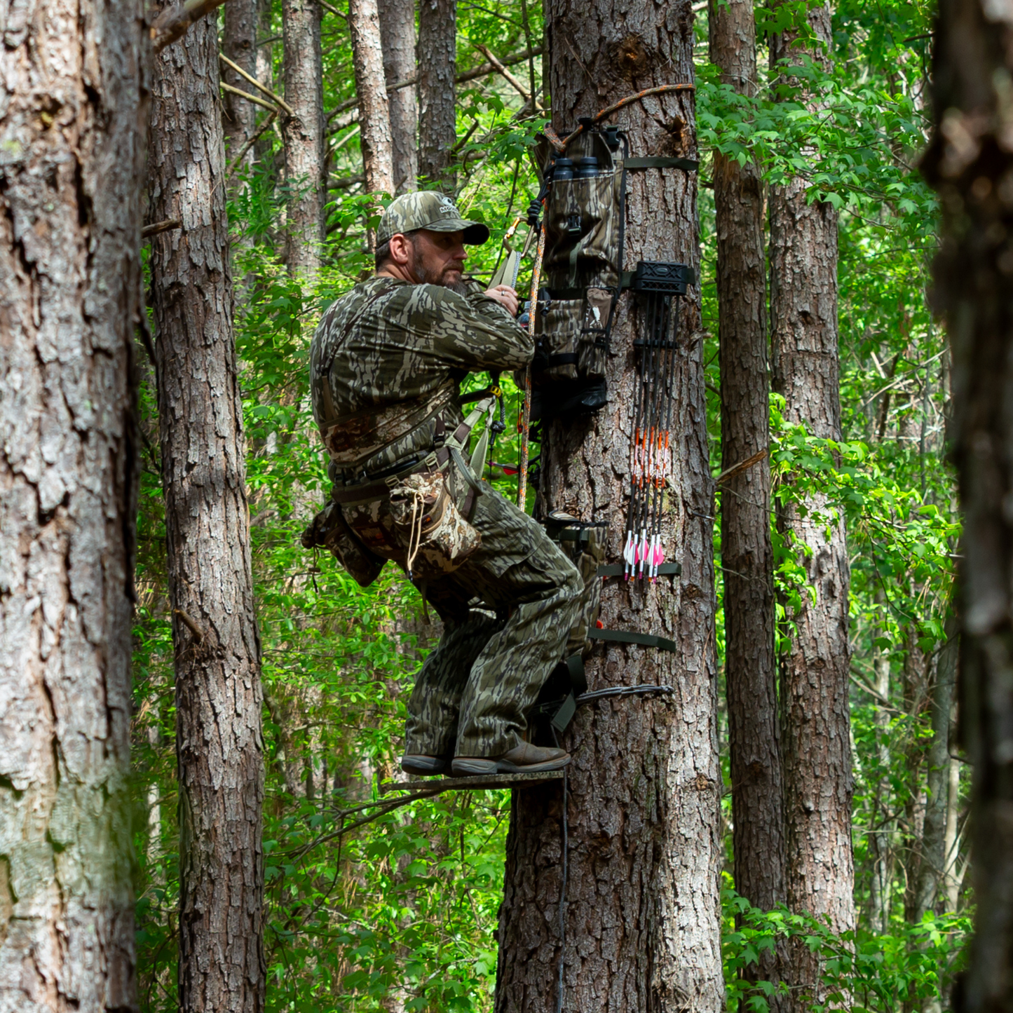 Pack Rat DLX System with Tree Hugger in BOTTOMLAND