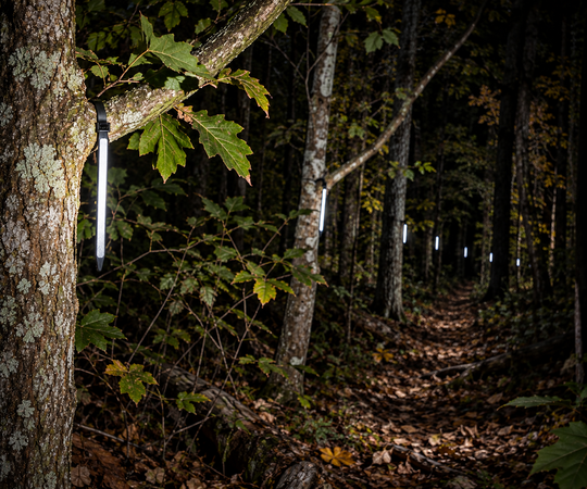 Reflective Zip Ties Trail Markers