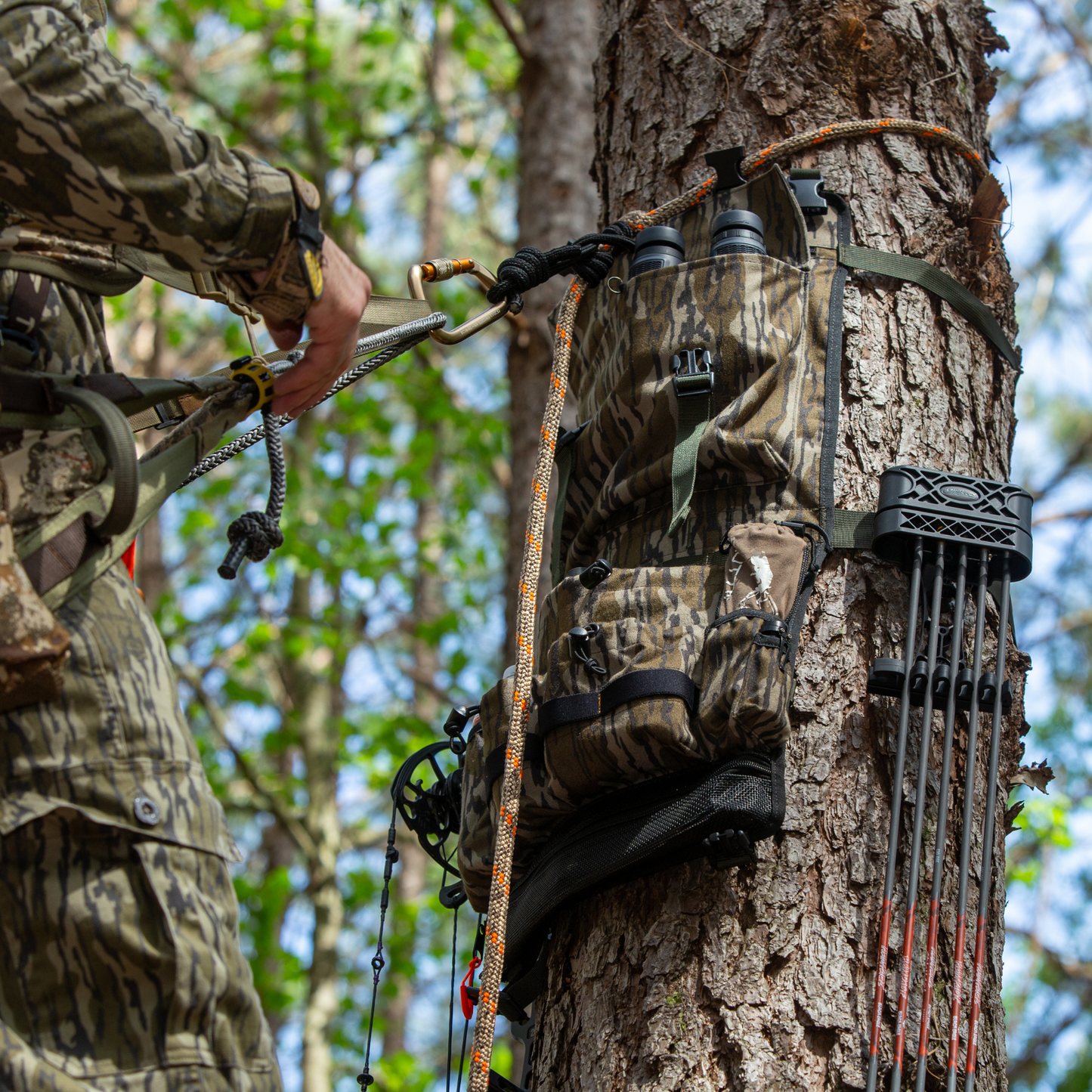 PREORDER - Tree Hugger